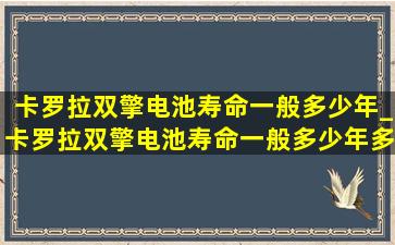 卡罗拉双擎电池寿命一般多少年_卡罗拉双擎电池寿命一般多少年多少公里