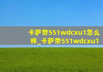 卡萨帝551wdcxu1怎么样_卡萨帝551wdcxu1