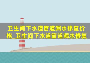 卫生间下水道管道漏水修复价格_卫生间下水道管道漏水修复