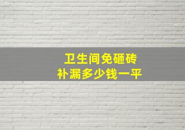 卫生间免砸砖补漏多少钱一平