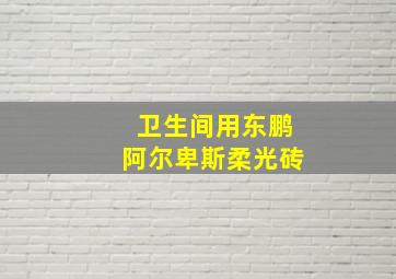 卫生间用东鹏阿尔卑斯柔光砖