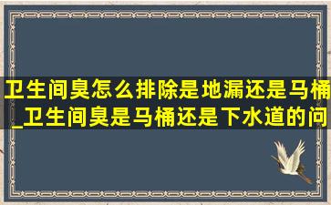 卫生间臭怎么排除是地漏还是马桶_卫生间臭是马桶还是下水道的问题