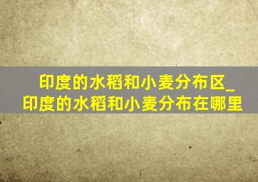 印度的水稻和小麦分布区_印度的水稻和小麦分布在哪里