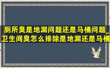 厕所臭是地漏问题还是马桶问题_卫生间臭怎么排除是地漏还是马桶