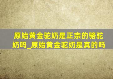 原始黄金驼奶是正宗的骆驼奶吗_原始黄金驼奶是真的吗