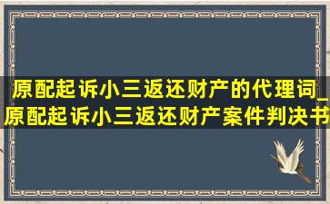 原配起诉小三返还财产的代理词_原配起诉小三返还财产案件判决书