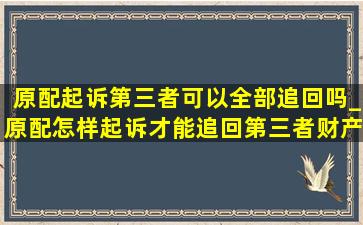 原配起诉第三者可以全部追回吗_原配怎样起诉才能追回第三者财产