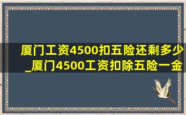 厦门工资4500扣五险还剩多少_厦门4500工资扣除五险一金剩多少