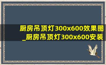 厨房吊顶灯300x600效果图_厨房吊顶灯300x600安装多少钱