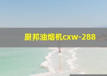 厨邦油烟机cxw-288