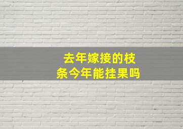 去年嫁接的枝条今年能挂果吗