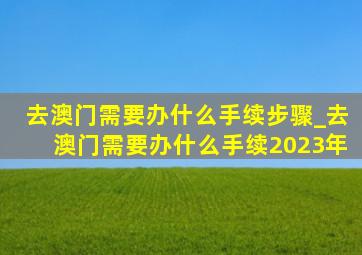 去澳门需要办什么手续步骤_去澳门需要办什么手续2023年