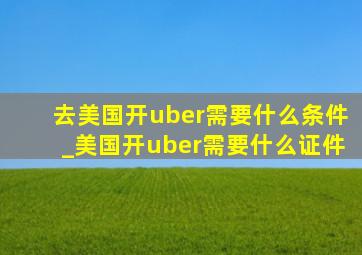 去美国开uber需要什么条件_美国开uber需要什么证件