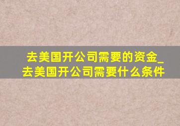 去美国开公司需要的资金_去美国开公司需要什么条件