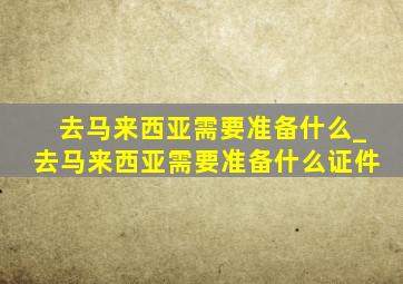 去马来西亚需要准备什么_去马来西亚需要准备什么证件