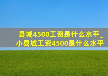 县城4500工资是什么水平_小县城工资4500是什么水平