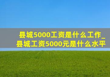 县城5000工资是什么工作_县城工资5000元是什么水平