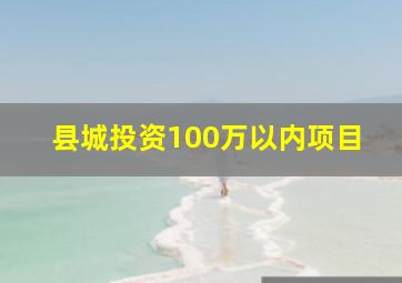 县城投资100万以内项目