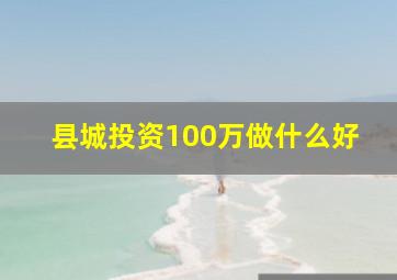 县城投资100万做什么好