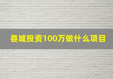 县城投资100万做什么项目