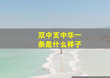 双中支中华一条是什么样子