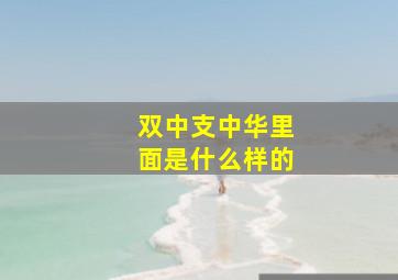 双中支中华里面是什么样的