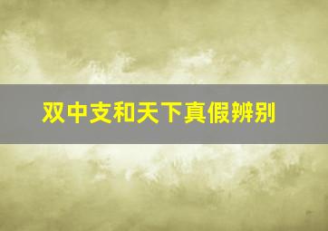 双中支和天下真假辨别