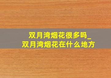 双月湾烟花很多吗_双月湾烟花在什么地方