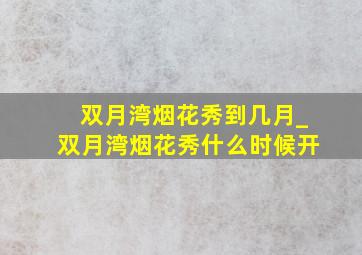 双月湾烟花秀到几月_双月湾烟花秀什么时候开