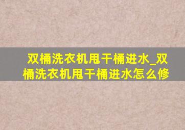 双桶洗衣机甩干桶进水_双桶洗衣机甩干桶进水怎么修