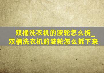 双桶洗衣机的波轮怎么拆_双桶洗衣机的波轮怎么拆下来