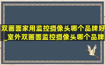 双画面家用监控摄像头哪个品牌好_室外双画面监控摄像头哪个品牌好