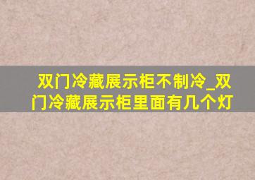 双门冷藏展示柜不制冷_双门冷藏展示柜里面有几个灯