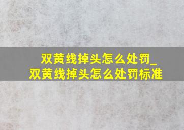 双黄线掉头怎么处罚_双黄线掉头怎么处罚标准