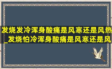 发烧发冷浑身酸痛是风寒还是风热_发烧怕冷浑身酸痛是风寒还是风热