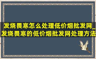 发烧畏寒怎么处理(低价烟批发网)_发烧畏寒的(低价烟批发网)处理方法