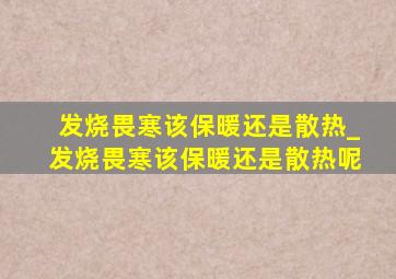 发烧畏寒该保暖还是散热_发烧畏寒该保暖还是散热呢