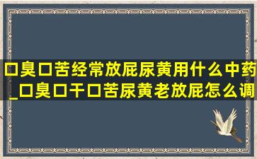 口臭口苦经常放屁尿黄用什么中药_口臭口干口苦尿黄老放屁怎么调理