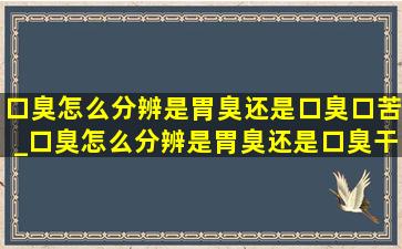 口臭怎么分辨是胃臭还是口臭口苦_口臭怎么分辨是胃臭还是口臭干呕