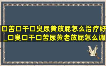 口苦口干口臭尿黄放屁怎么治疗好_口臭口干口苦尿黄老放屁怎么调理