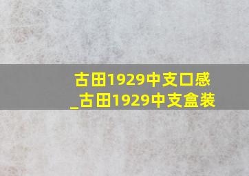 古田1929中支口感_古田1929中支盒装