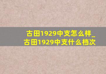 古田1929中支怎么样_古田1929中支什么档次