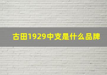 古田1929中支是什么品牌