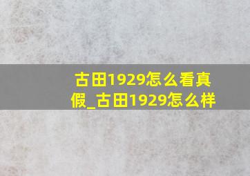 古田1929怎么看真假_古田1929怎么样