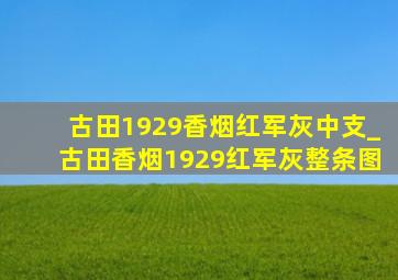 古田1929香烟红军灰中支_古田香烟1929红军灰整条图