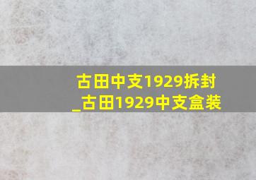 古田中支1929拆封_古田1929中支盒装