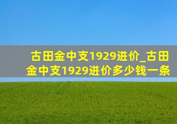 古田金中支1929进价_古田金中支1929进价多少钱一条