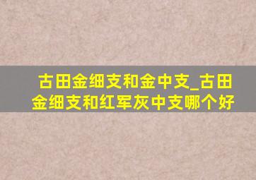 古田金细支和金中支_古田金细支和红军灰中支哪个好