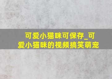 可爱小猫咪可保存_可爱小猫咪的视频搞笑萌宠