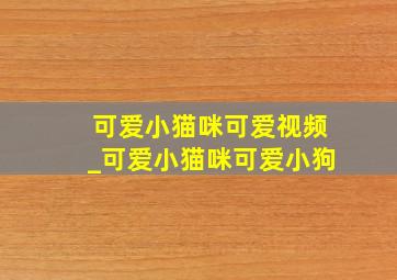 可爱小猫咪可爱视频_可爱小猫咪可爱小狗